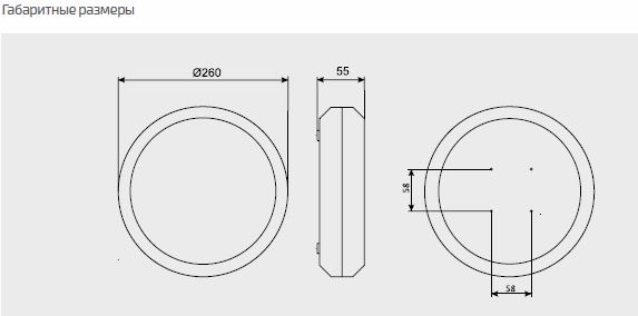 �������. �����